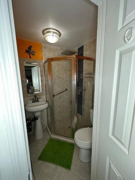 Sleeps 3, Casa Tropical In Miami Apartment Exterior photo