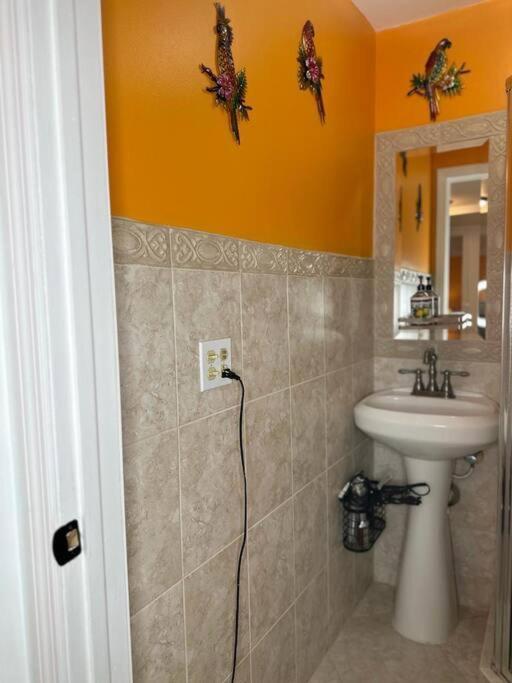 Sleeps 3, Casa Tropical In Miami Apartment Exterior photo